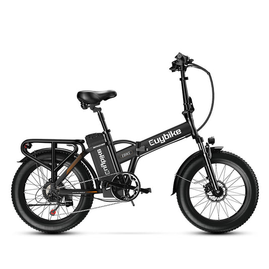 Euy F6 Electric Bike