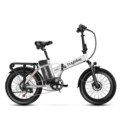 Euy F6 Electric Bike